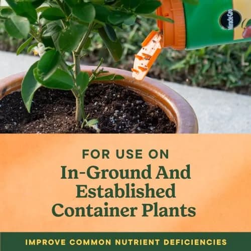 Miracle-Gro Shake 'N Feed Citrus, Avocado, Mango Plant Food | Fertilizer for In-Ground & Container Plants, 4.5 lbs thumbnail 7
