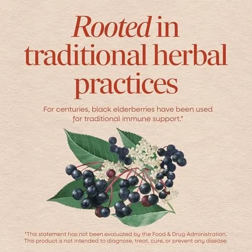 Nature's Way Black Elderberry Capsules 100 Count | Traditional Immune Support with European Elderberry & Flower thumbnail 3