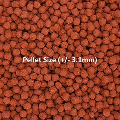 Ocean Nutrition Fish Food - Tropical Fish Food, Soft Moist Sinking Pellets, High Protein(41%) Guppy Fish Food, Fish Food Flakes Alternative, 14 oz (400 g), Medium Pellet thumbnail 5