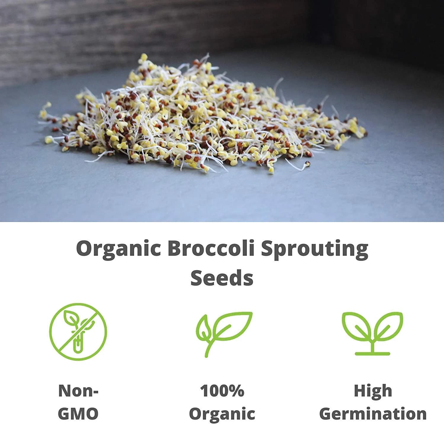 Handy Pantry Organic Broccoli Sprouting Seeds 227 g (8 oz) | High Sulforaphane Superfood - view 7