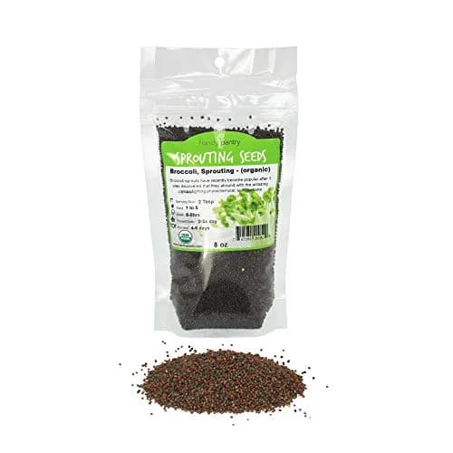 Handy Pantry Organic Broccoli Sprouting Seeds 227 g (8 oz) | High Sulforaphane Superfood thumbnail 1