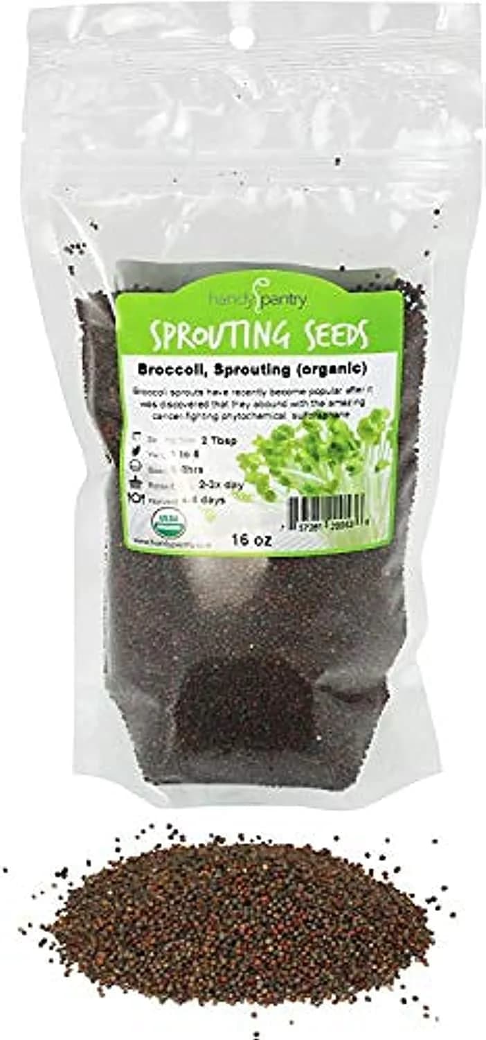 Handy Pantry Organic Broccoli Sprouts Seeds 1 lb (454 g) | High Sulforaphane Superfood - main product image