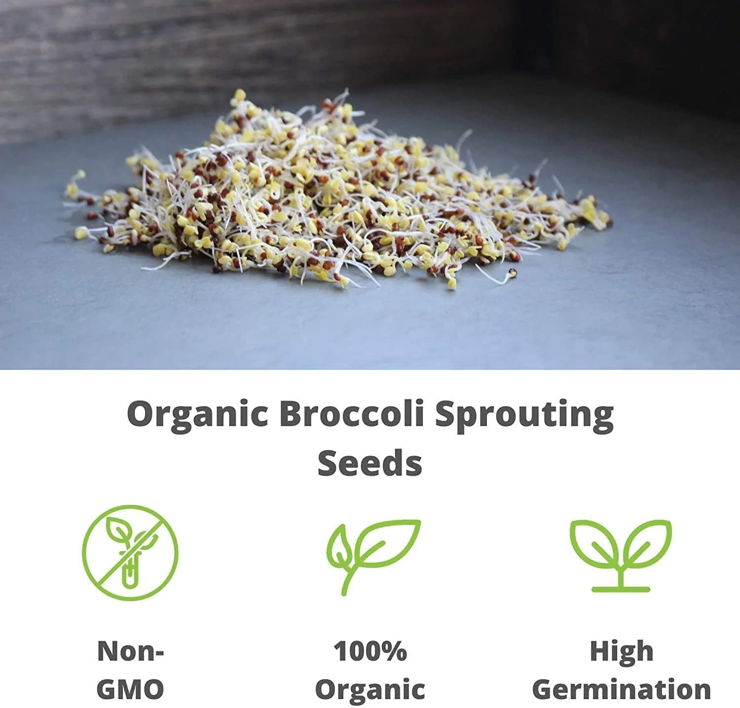 Handy Pantry Organic Broccoli Sprouts Seeds 1 lb (454 g) | High Sulforaphane Superfood - view 6