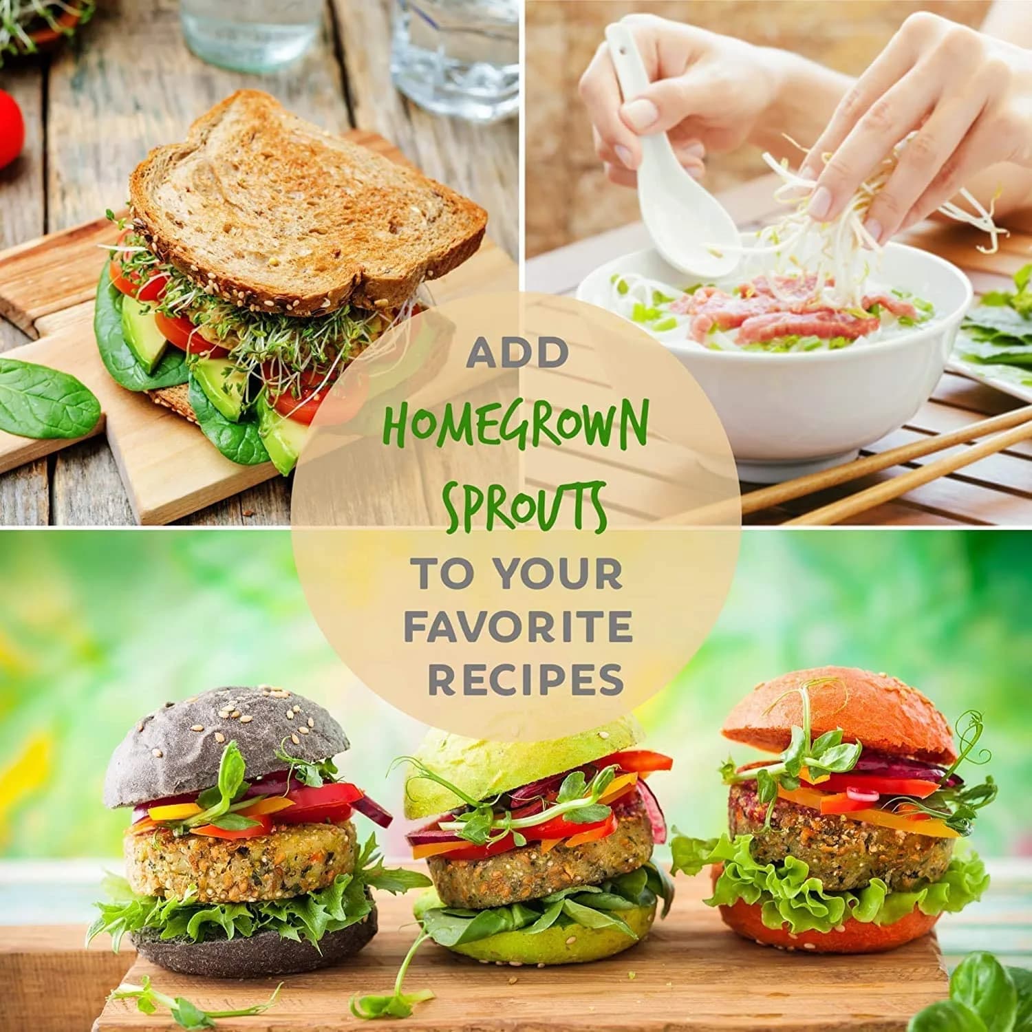 Handy Pantry Organic Broccoli Sprouts Seeds 1 lb (454 g) | High Sulforaphane Superfood - view 7