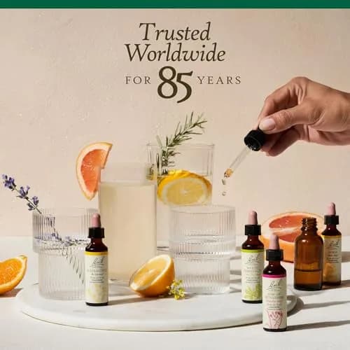 Bach Flower Remedies Holly 20ml | Emotional Balance & Goodwill (120 chars) thumbnail 6