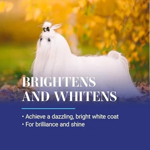 Chris Christensen White on White Whitening Dog Shampoo 473ml (16 fl oz) | Optic Intensifying Treatment for All Coats thumbnail 3