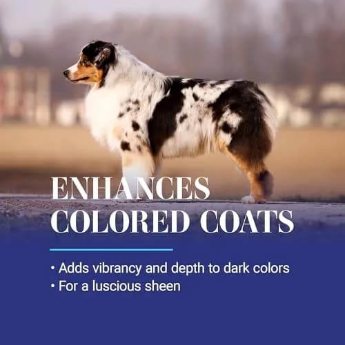 Chris Christensen White on White Whitening Dog Shampoo 473ml (16 fl oz) | Optic Intensifying Treatment for All Coats thumbnail 4