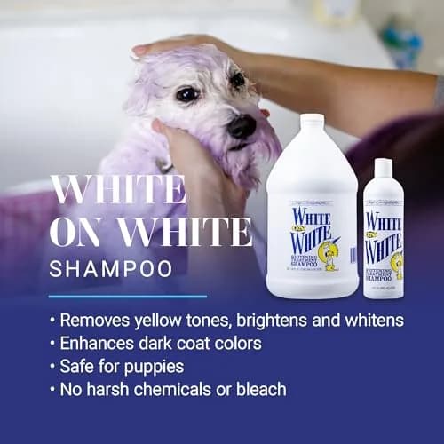 Chris Christensen White on White Whitening Dog Shampoo 473ml (16 fl oz) | Optic Intensifying Treatment for All Coats thumbnail 2