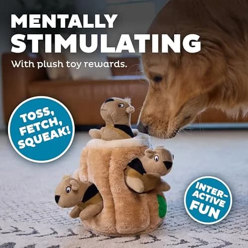 Outward Hound Hide-A-Squirrel Plush Squeaky Dog Toy Large 10.5 x 7.5 inches | Interactive Puzzle for Dogs thumbnail 5
