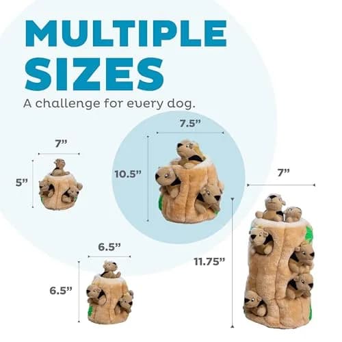 Outward Hound Hide-A-Squirrel Plush Squeaky Dog Toy Large 10.5 x 7.5 inches | Interactive Puzzle for Dogs thumbnail 6