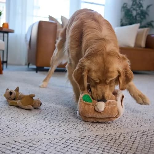 Outward Hound Hide-A-Squirrel Plush Squeaky Dog Toy Large 10.5 x 7.5 inches | Interactive Puzzle for Dogs thumbnail 7
