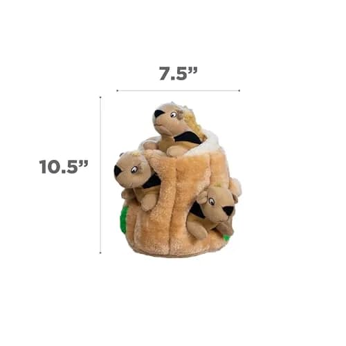 Outward Hound Hide-A-Squirrel Plush Squeaky Dog Toy Large 10.5 x 7.5 inches | Interactive Puzzle for Dogs thumbnail 8