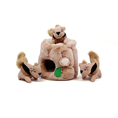 Outward Hound Hide-A-Squirrel Plush Squeaky Dog Toy Large 10.5 x 7.5 inches | Interactive Puzzle for Dogs thumbnail 4
