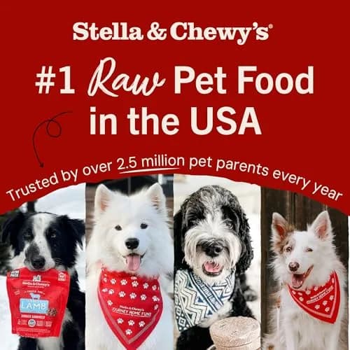 Stella & Chewy's Freeze-Dried Raw Duck Duck Goose Meal Mixers for Dogs 1.13 lb (512 g) | Picky Eater Food Topper & Mixer thumbnail 7
