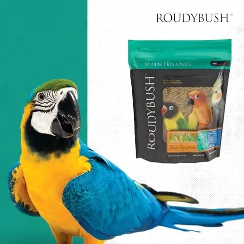 RoudyBush Daily Maintenance Bird Food Pellets 1250 g (44 oz) | Scientifically Formulated for All Life Stages thumbnail 8