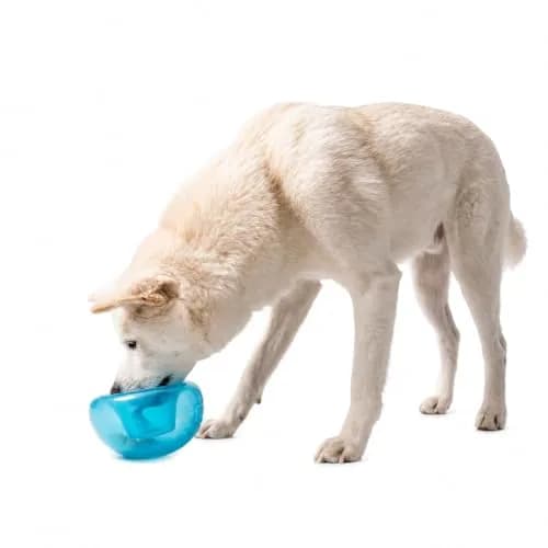 Outward Hound Snoop Interactive Treat Dispenser Dog Toy, Blue, 5" | Mental Stimulation & Slow Feeding thumbnail 1