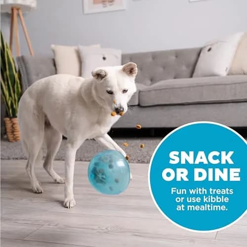 Outward Hound Snoop Interactive Treat Dispenser Dog Toy, Blue, 5" | Mental Stimulation & Slow Feeding thumbnail 7