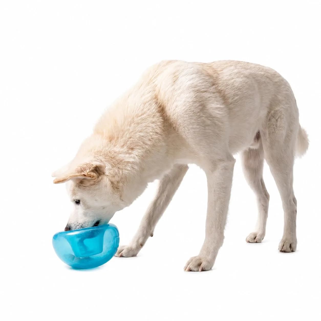 Outward Hound Snoop Interactive Treat Dispenser Dog Toy, Blue, 5" | Mental Stimulation & Slow Feeding — Blue