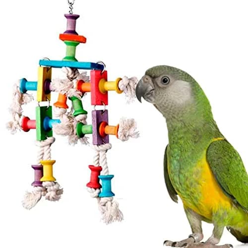 Super Bird Creations Dancing Spools Bird Toy with Cotton Rope for Medium Birds | 33cm (13" L x 8" H x 2" W) thumbnail 1