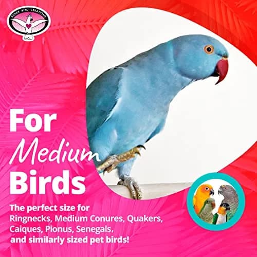 Super Bird Creations Dancing Spools Bird Toy with Cotton Rope for Medium Birds | 33cm (13" L x 8" H x 2" W) thumbnail 3
