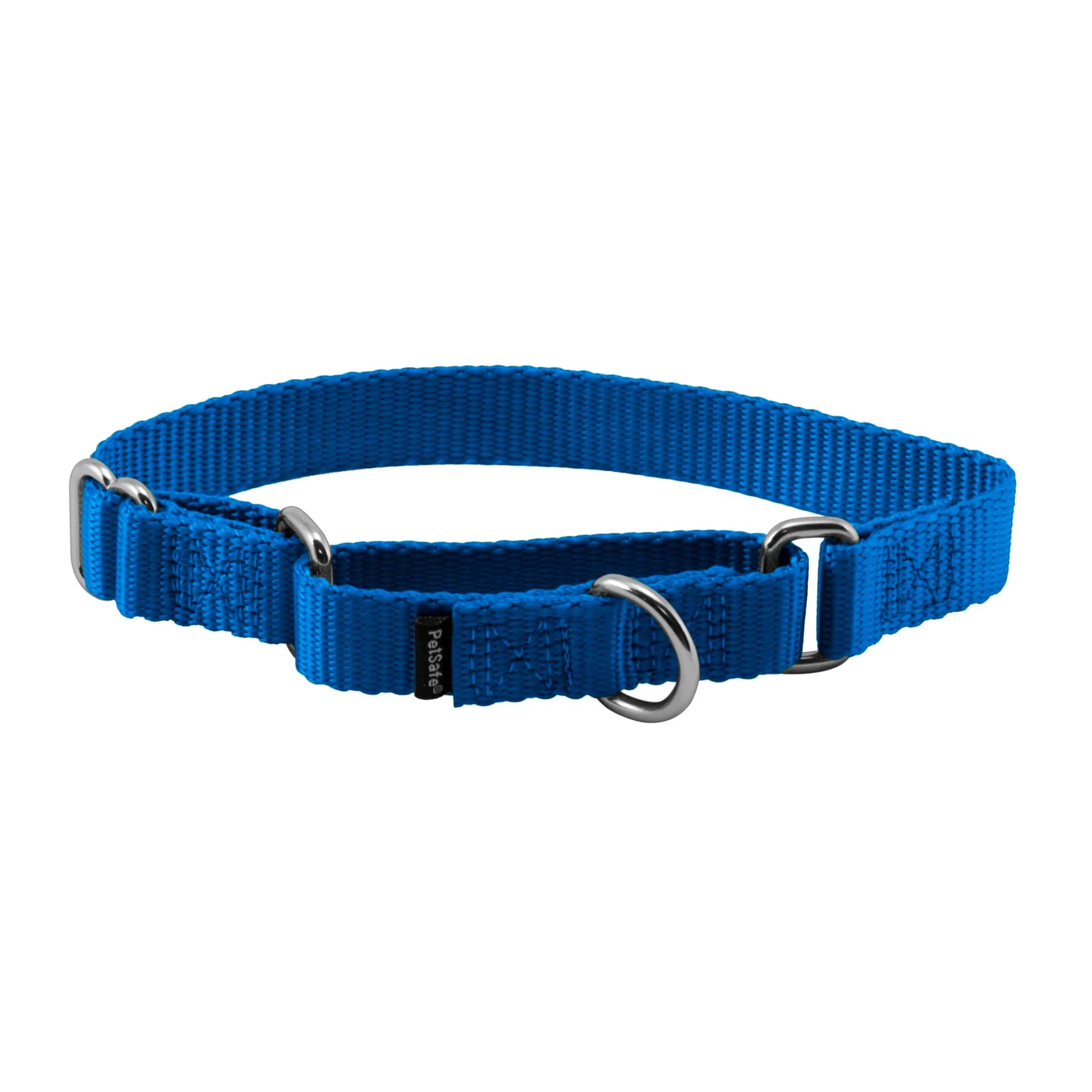 PetSafe Martingale Dog Collar Royal Blue Small 1.9 cm (3/4 in) | Safe Escape-Proof Training Collar