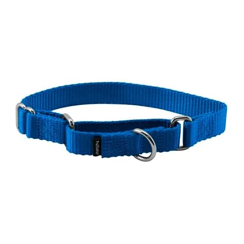 PetSafe Martingale Dog Collar Royal Blue Small 1.9 cm (3/4 in) | Safe Escape-Proof Training Collar thumbnail 1