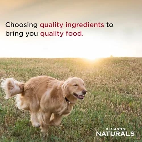 Diamond Naturals Small Breed Adult Dry Dog Food, Chicken & Rice, 18lb | Supports Small Breed Needs & Digestion thumbnail 4