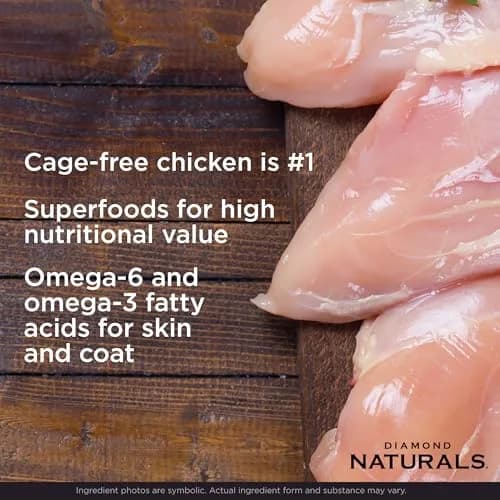 Diamond Naturals Small Breed Adult Dry Dog Food, Chicken & Rice, 18lb | Supports Small Breed Needs & Digestion thumbnail 3