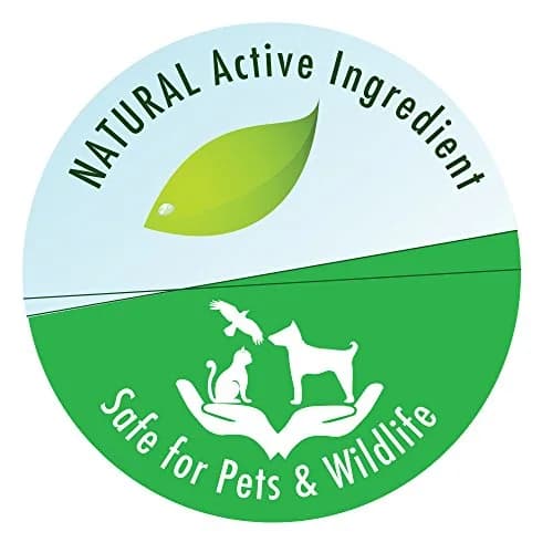 API Pond-Zyme Sludge Destroyer 16 oz | Natural Pond Bacteria for Up to 16,000 Gallons thumbnail 5