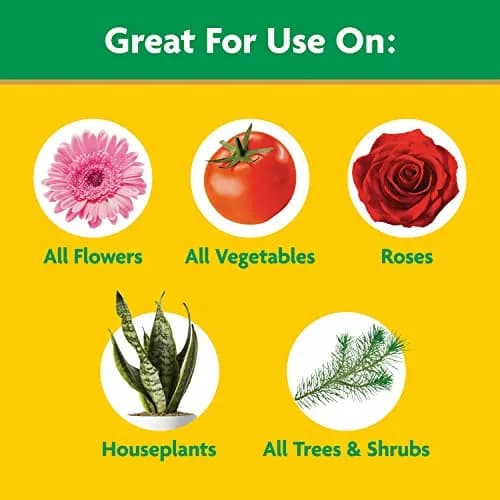 Miracle-Gro Water Soluble All Purpose Plant Food 4.54 kg (10 lb) | Feeds All Plants Instantly thumbnail 5