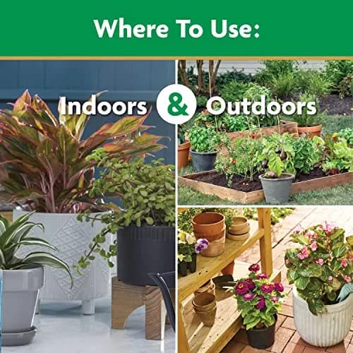 Miracle-Gro Water Soluble All Purpose Plant Food 4.54 kg (10 lb) | Feeds All Plants Instantly thumbnail 6