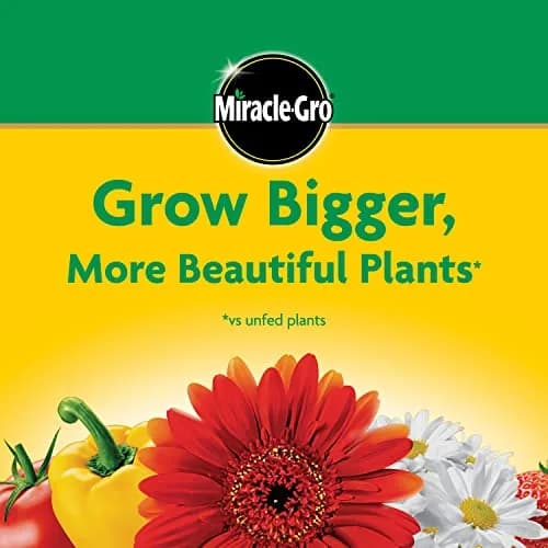 Miracle-Gro Water Soluble All Purpose Plant Food 4.54 kg (10 lb) | Feeds All Plants Instantly thumbnail 8