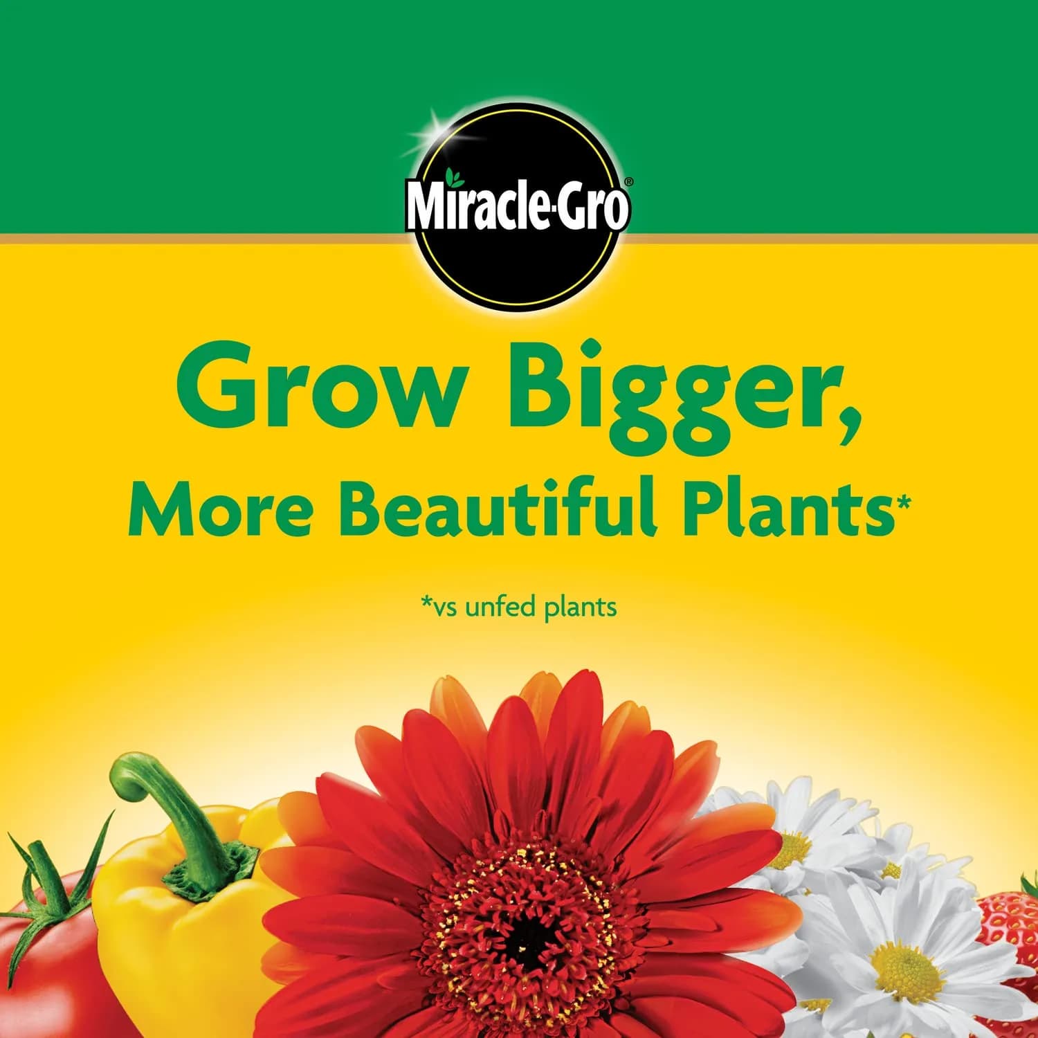 Miracle-Gro Water Soluble All Purpose Plant Food 4.54 kg (10 lb) | Feeds All Plants Instantly - view 8