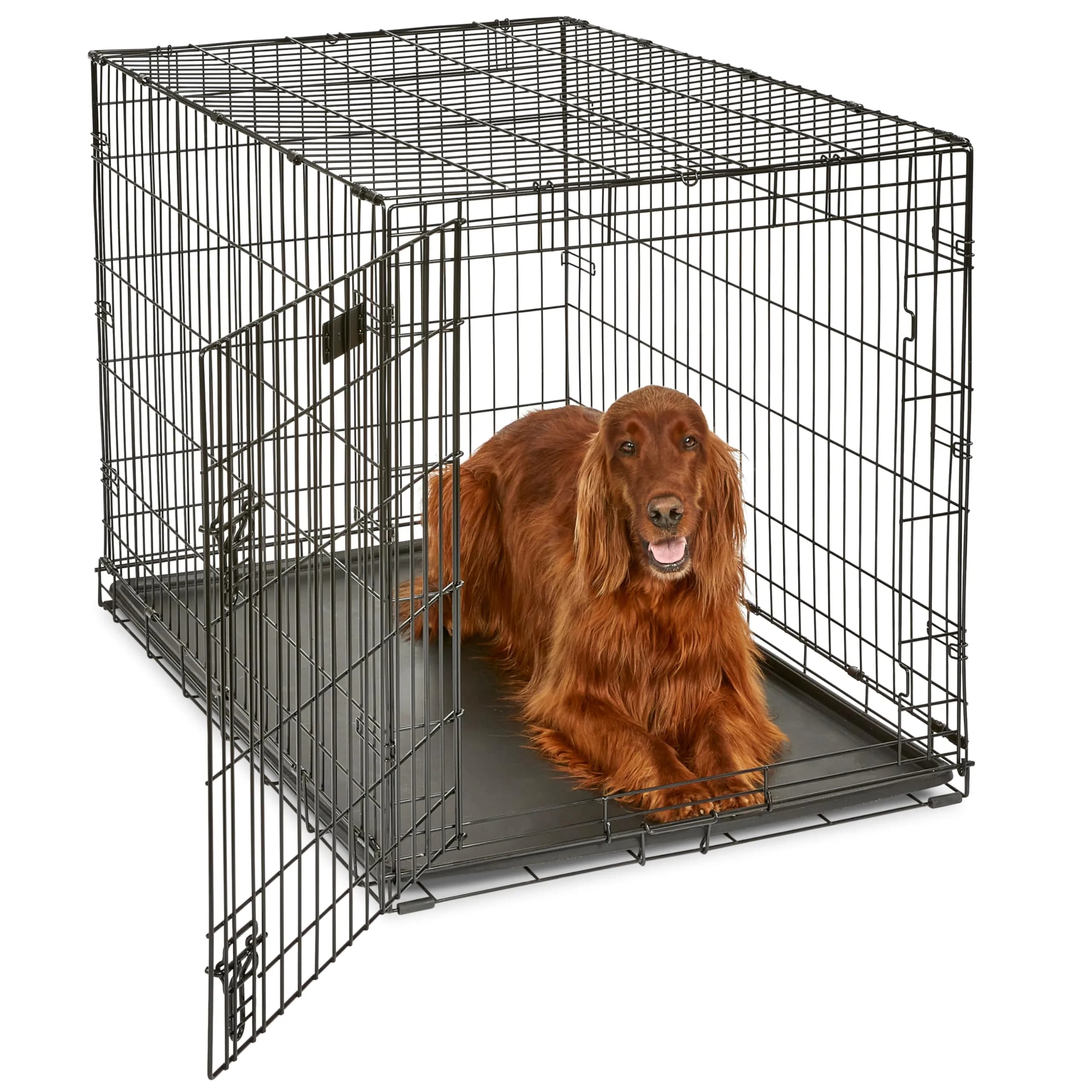 MidWest 42-Inch Single Door iCrate for Large Breeds 71-90 lbs | Durable Metal Wire Dog Crate with Divider & Leak-Proof Tray