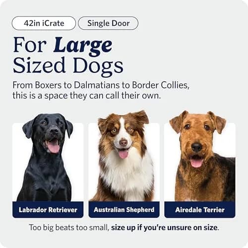 MidWest 42-Inch Single Door iCrate for Large Breeds 71-90 lbs | Durable Metal Wire Dog Crate with Divider & Leak-Proof Tray thumbnail 2