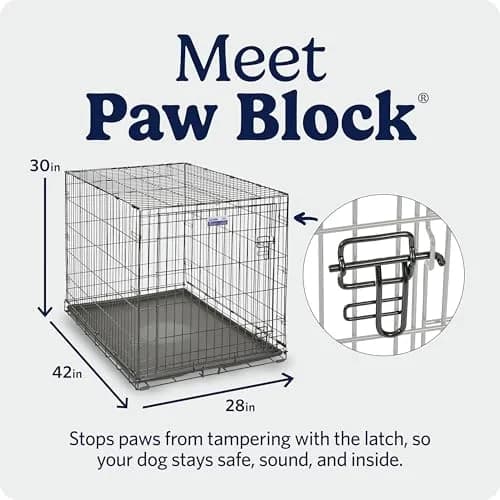 MidWest 42-Inch Single Door iCrate for Large Breeds 71-90 lbs | Durable Metal Wire Dog Crate with Divider & Leak-Proof Tray thumbnail 4