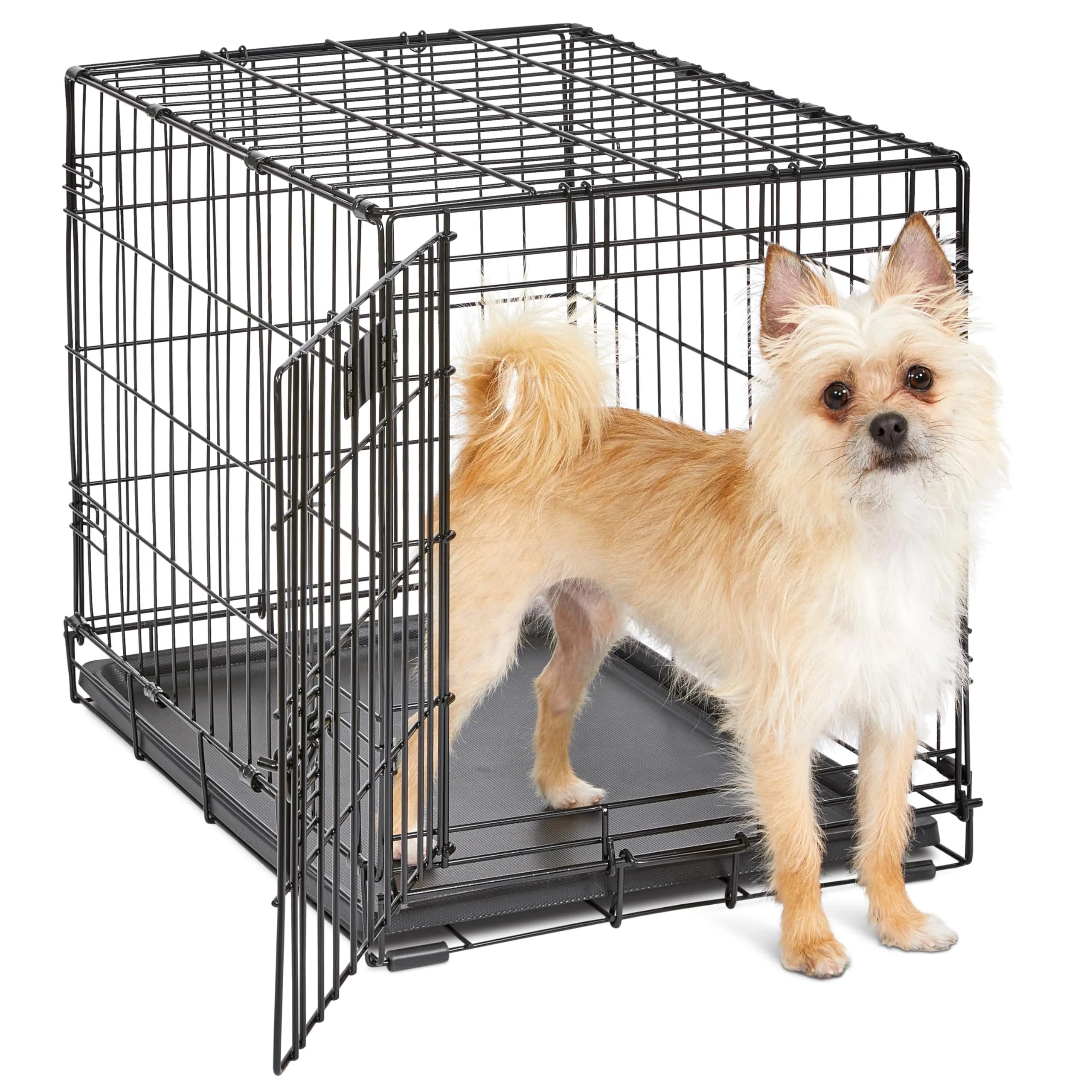 MidWest 24-Inch Single Door iCrate for Small Breeds 12-20 lbs | Secure & Foldable