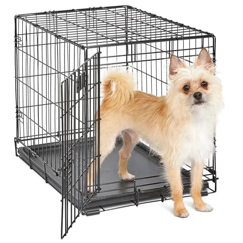 MidWest 24-Inch Single Door iCrate for Small Breeds 12-20 lbs | Secure & Foldable thumbnail 1