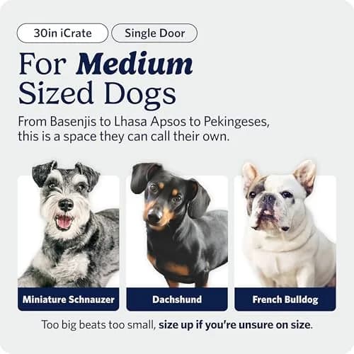MidWest 30-Inch Single Door iCrate for Medium Breeds 21-40 lbs | Secure, Foldable & Durable thumbnail 2