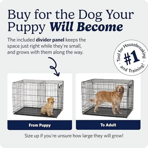 MidWest 30-Inch Single Door iCrate for Medium Breeds 21-40 lbs | Secure, Foldable & Durable thumbnail 3