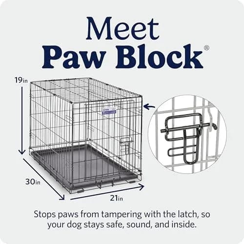 MidWest 30-Inch Single Door iCrate for Medium Breeds 21-40 lbs | Secure, Foldable & Durable thumbnail 4