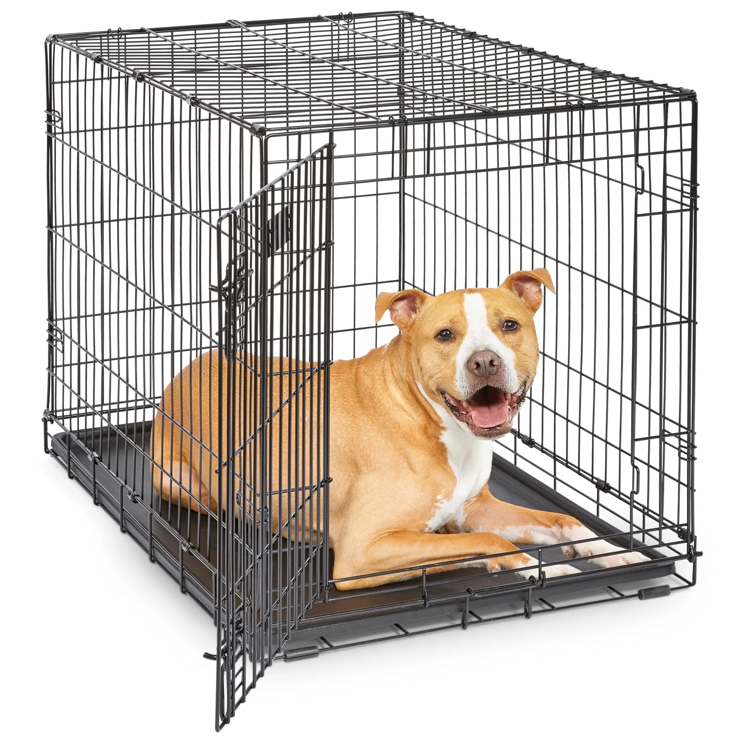 MidWest 36-Inch Single Door iCrate for Medium-Large Breeds 41-70 lbs | Secure, Foldable & Durable
