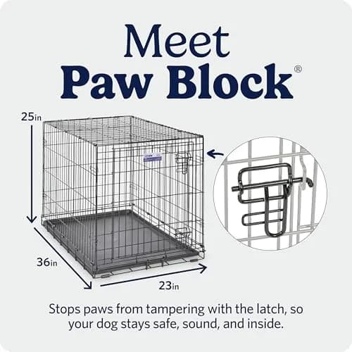 MidWest 36-Inch Single Door iCrate for Medium-Large Breeds 41-70 lbs | Secure, Foldable & Durable thumbnail 4