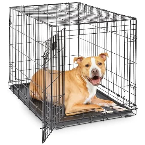 MidWest 30-Inch Double Door iCrate for Medium Breeds 21-40 lbs | Secure, Foldable & Durable