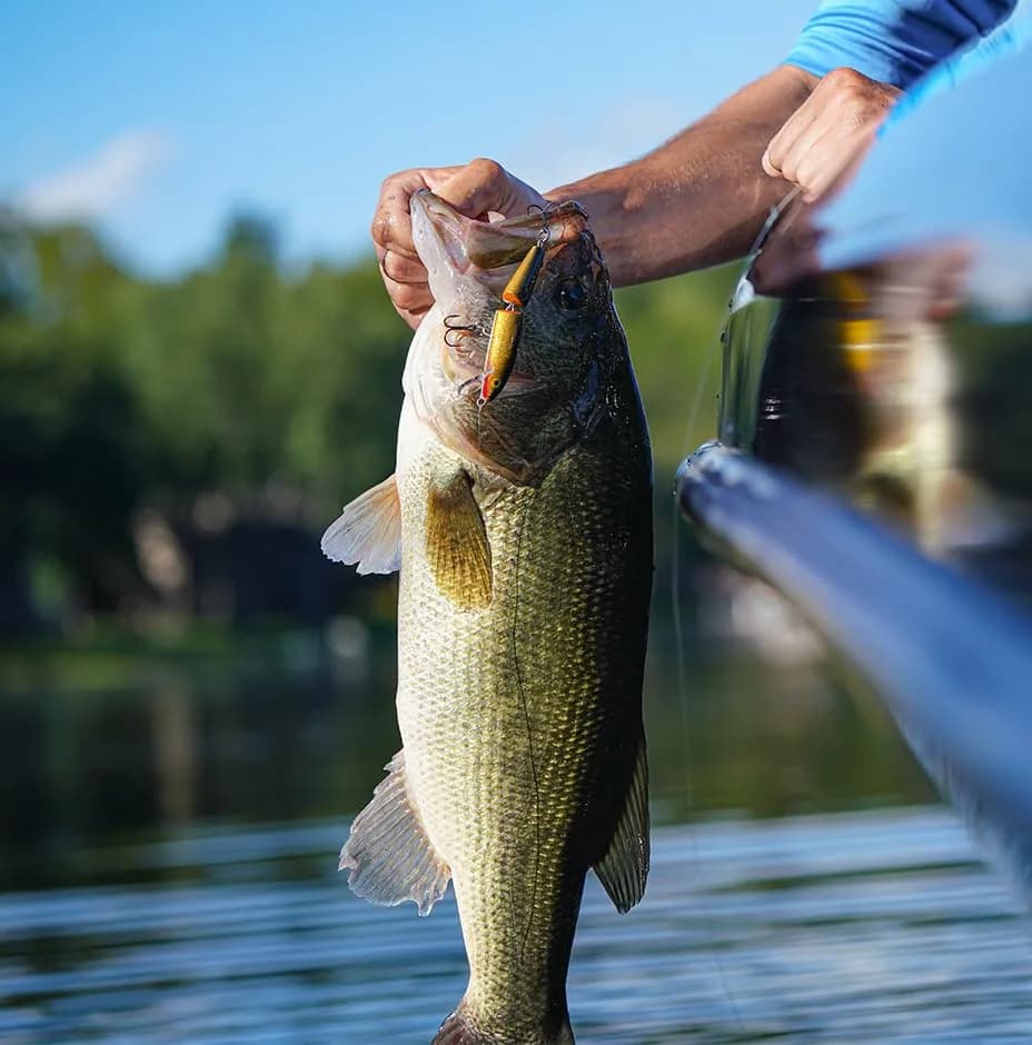Rapala Jointed Minnow Lure 5-1/4" Firetiger | Wide Swimming Action for Bass Pike Walleye thumbnail 6