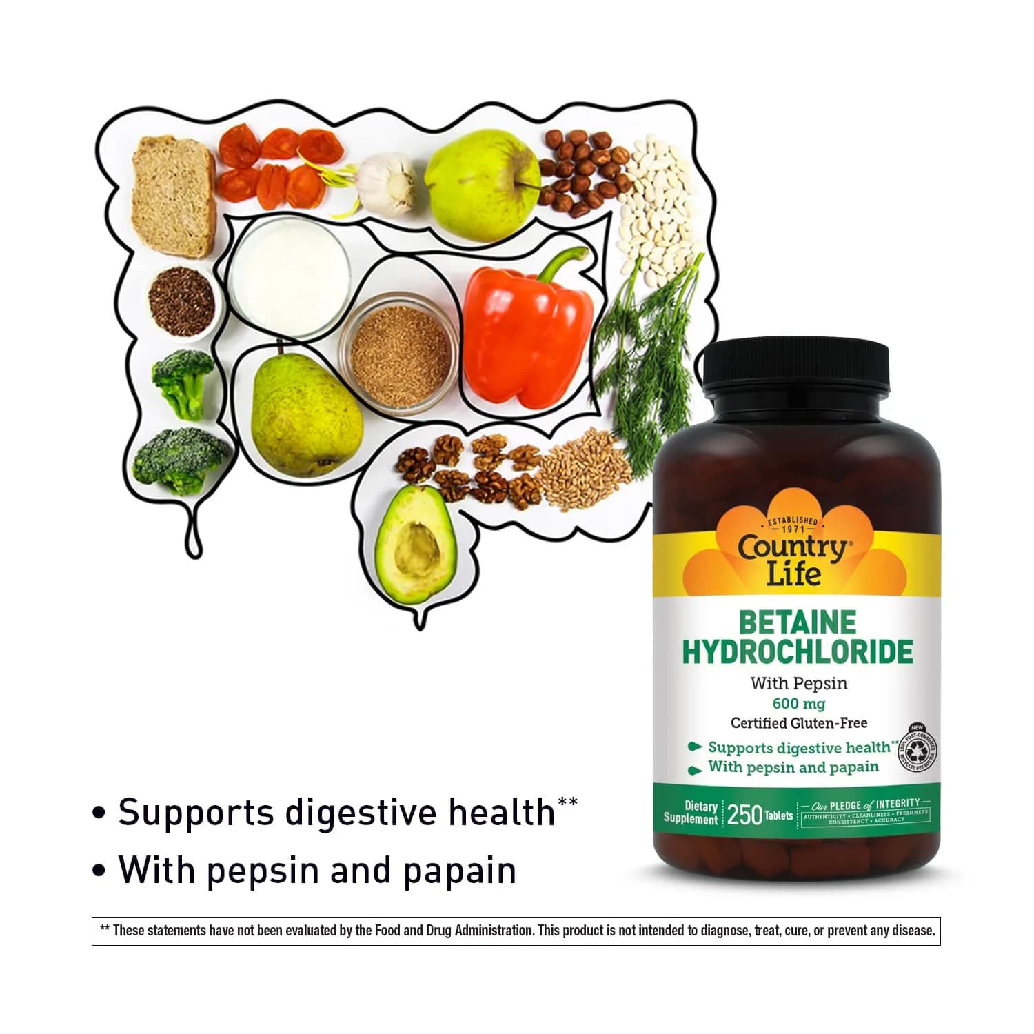 Country Life Betaine Hydrochloride with Pepsin 600 mg 250 Tablets | Supports Digestive Health - view 3