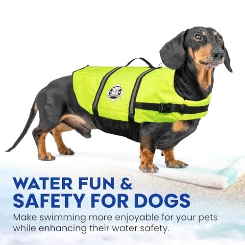 Paws Aboard Reflective Dog Life Jacket with Handle (Neon Yellow, Medium) | Buoyant, Breathable & Adjustable for Water Safety thumbnail 7