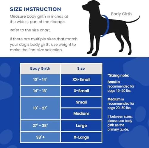 Paws Aboard Reflective Dog Life Jacket with Handle (Neon Yellow, Medium) | Buoyant, Breathable & Adjustable for Water Safety thumbnail 2