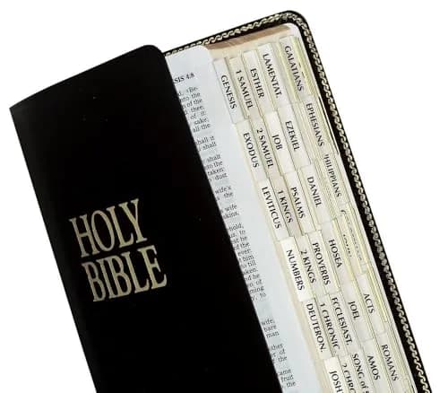 tabbies Gold-Edged Bible Indexing Tabs, Old & New Testament, 80 Tabs | Durable, Self-Adhesive, Classic Gold Finish thumbnail 1
