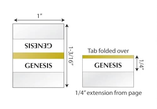 tabbies Gold-Edged Bible Indexing Tabs, Old & New Testament, 80 Tabs | Durable, Self-Adhesive, Classic Gold Finish thumbnail 2